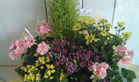 Création de coupes de plantes pour pierres tombales au Touvet